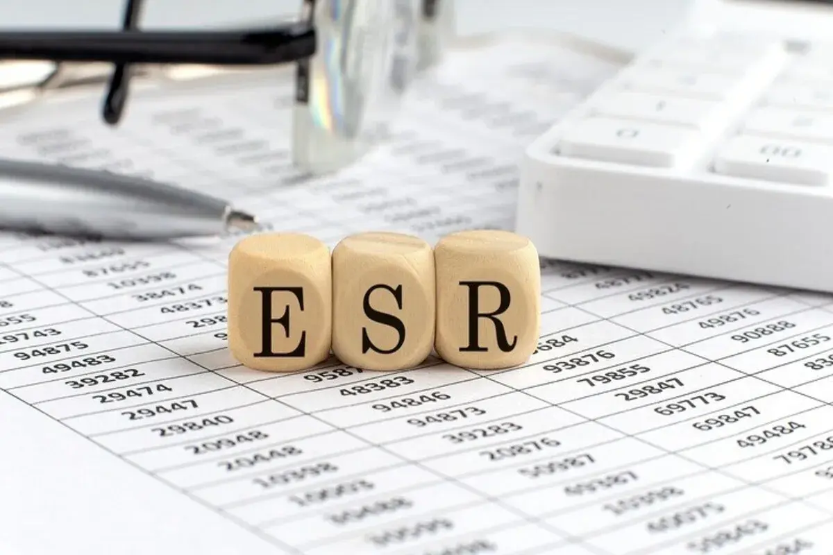 Navigating the Removal of ESR Regulations in the UAE