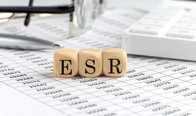 Navigating the Removal of ESR Regulations in the UAE