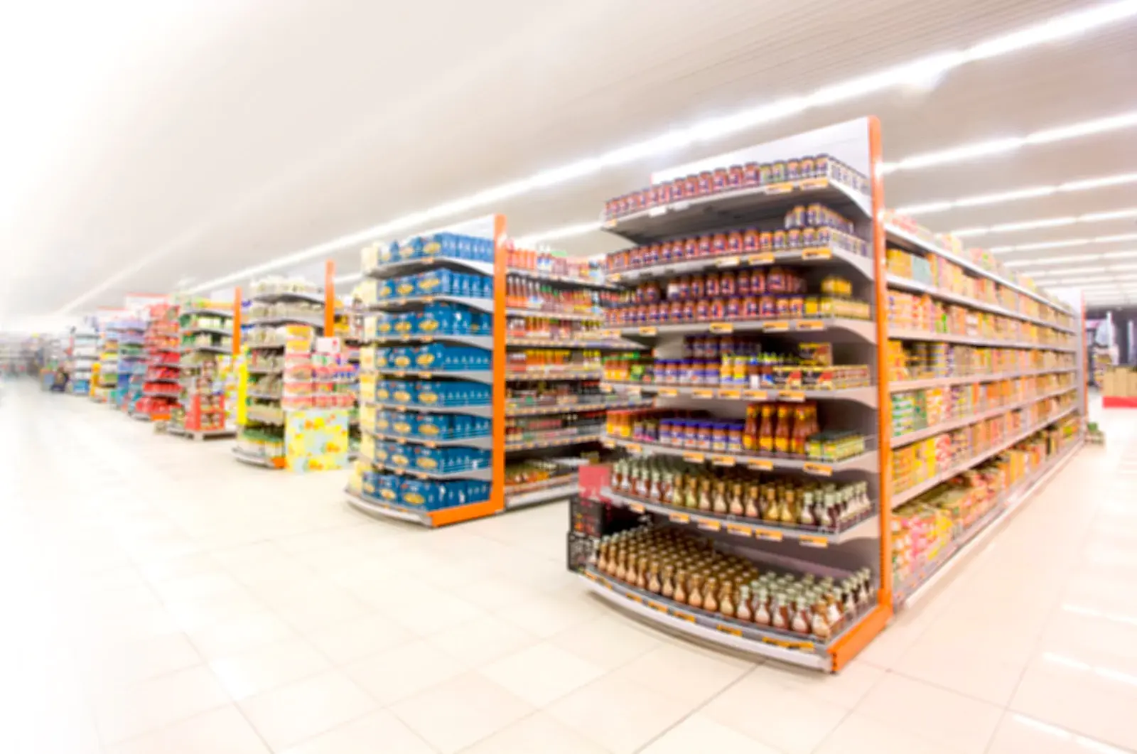 Internal Audit for a Large Retail & Consumer Goods Group